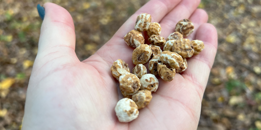 Baking gamechanger: ‘I discovered Tiger Nuts”